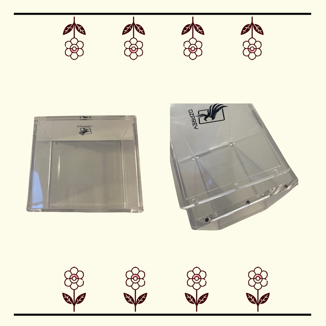 Ozprey Acrylic Pokémon Booster Box Protector (3 Sizes)